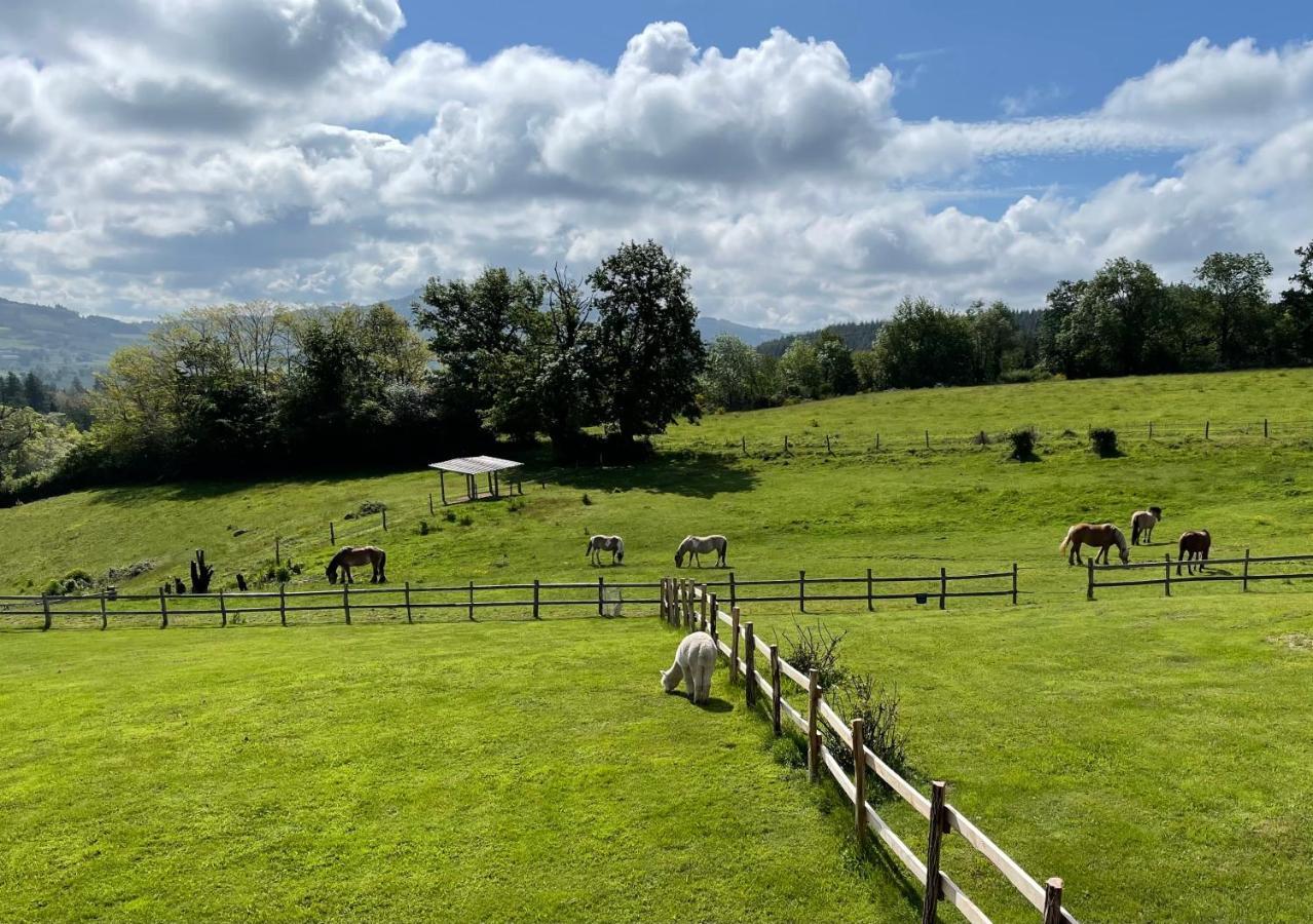 Les Perruchons Ancienne Grange Renovee Avec Soin Ozolles Exterior foto