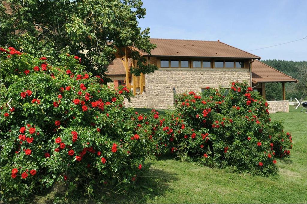 Les Perruchons Ancienne Grange Renovee Avec Soin Ozolles Quarto foto