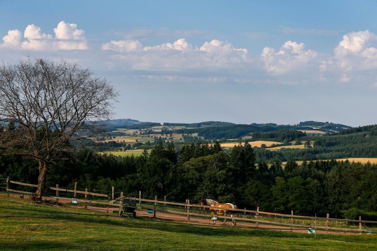 Les Perruchons Ancienne Grange Renovee Avec Soin Ozolles Exterior foto