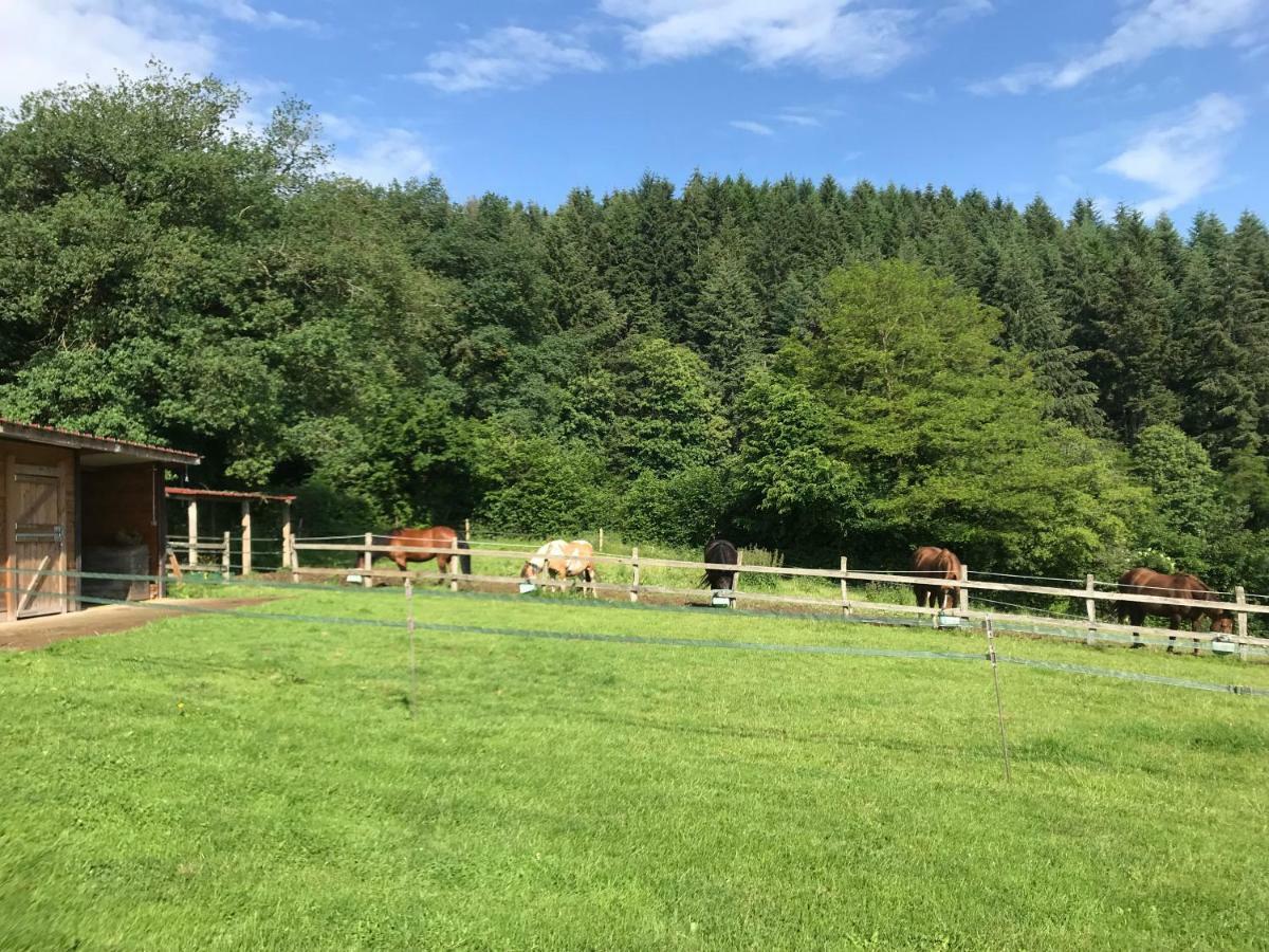 Les Perruchons Ancienne Grange Renovee Avec Soin Ozolles Exterior foto